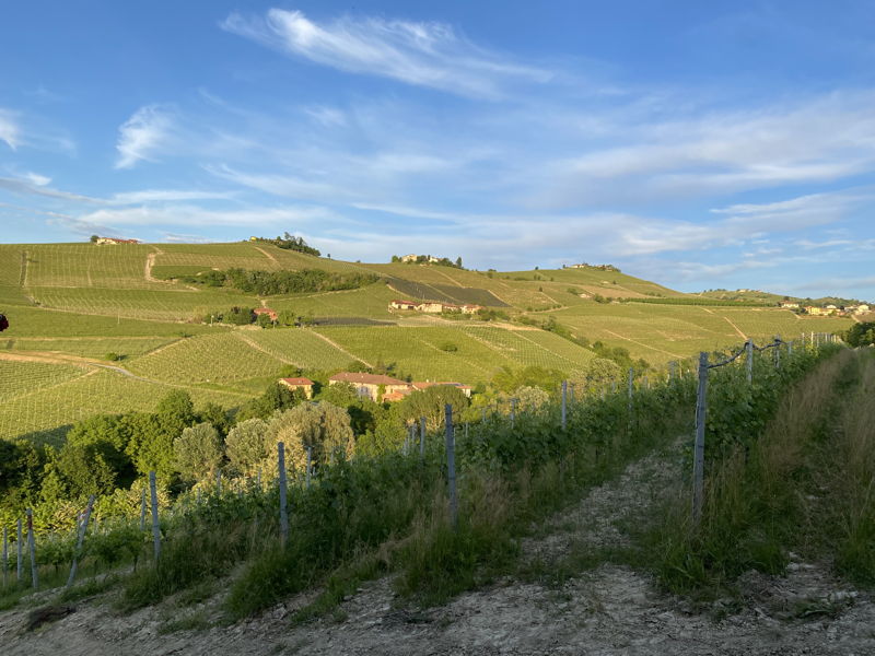 Food & Wine Tours Verduno: Tour with aperitif and tasting in the Langhe