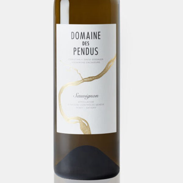 sauvignon-domaine-des-pendus