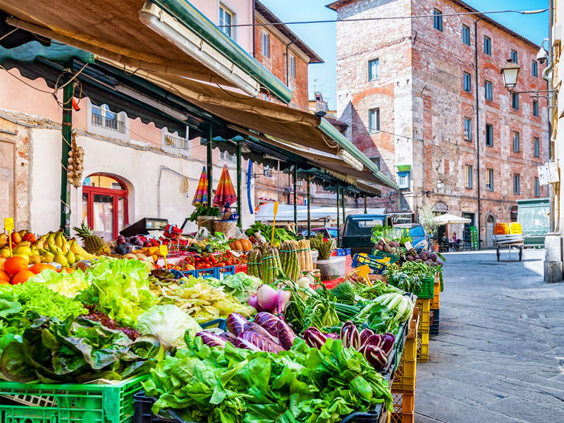 Food & Wine Tours Florence: Amazing street food in Florence