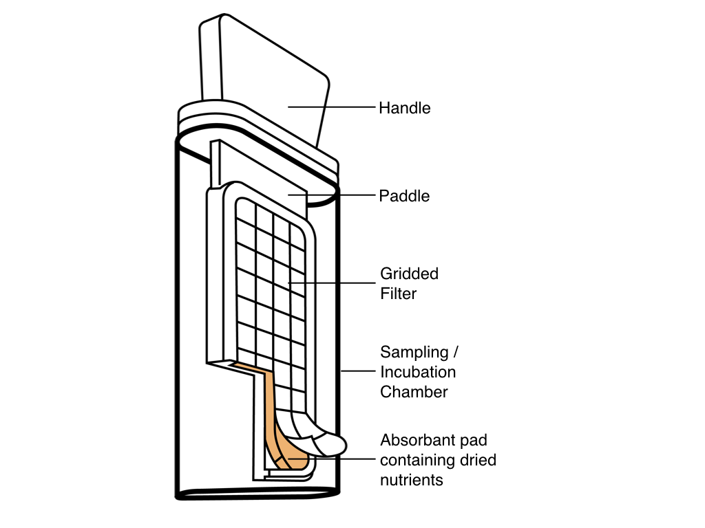 Schema of a nomad sampler and its components