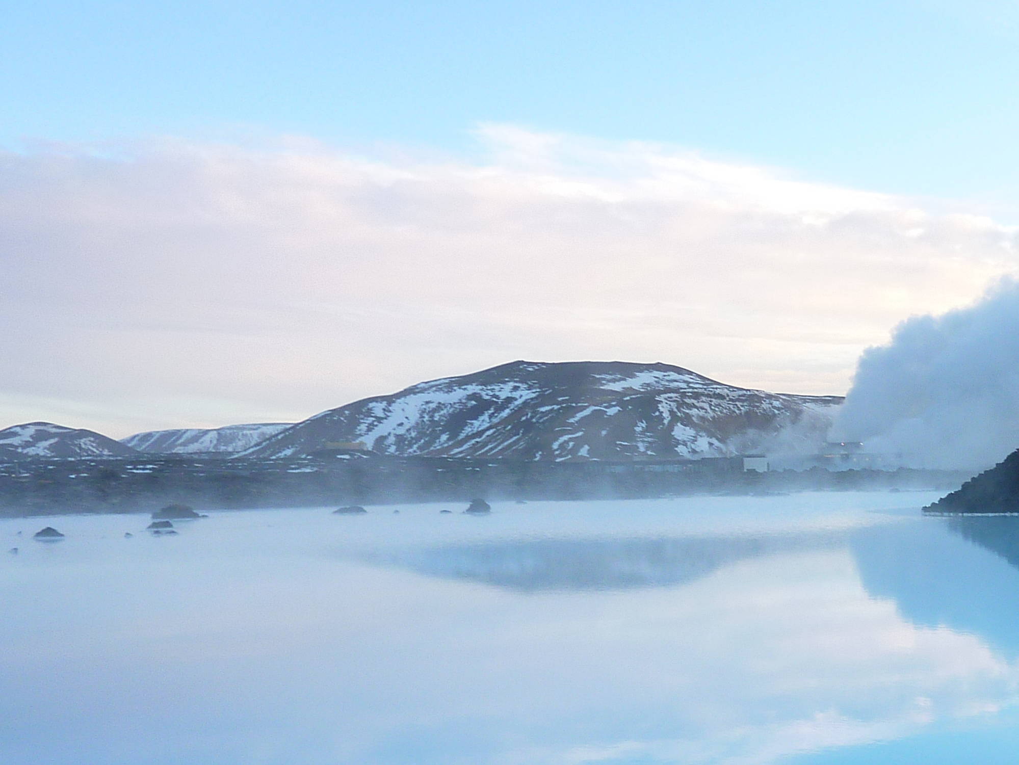 Our all-natural, whole food calcium is sourced from algae growing in pristine Icelandic water