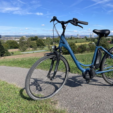 E-bike Raleigh Jersey Plus