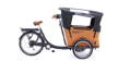 Electric cargo bike