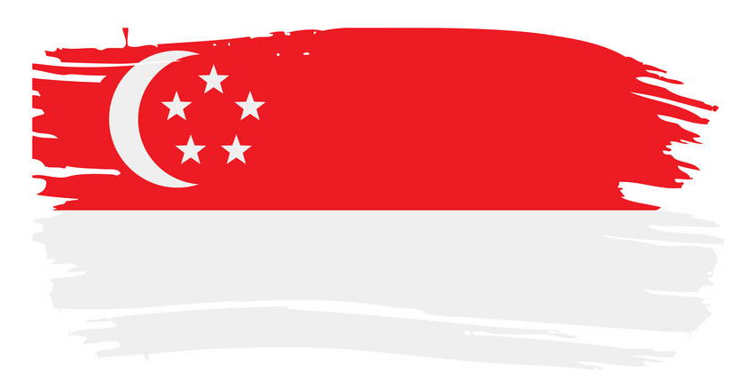Singapore Flag logo