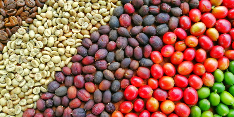 Koffiebonen Kopen, beste koffiebonen, Italiaanse koffiebonen, Arabica bonen, Robusta