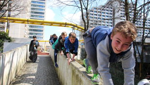 animalwalk auf mauer