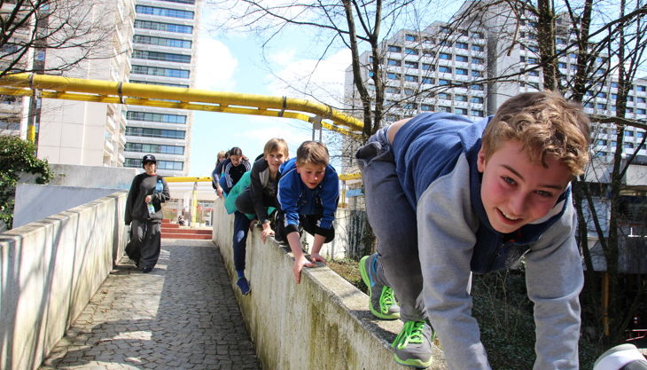 animalwalk auf mauer