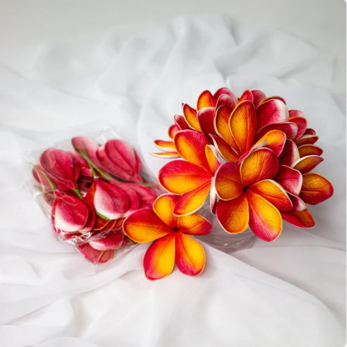 Tropical Frangipani Flowerhead (6 Pack) - Realistic Artificial Flowers
