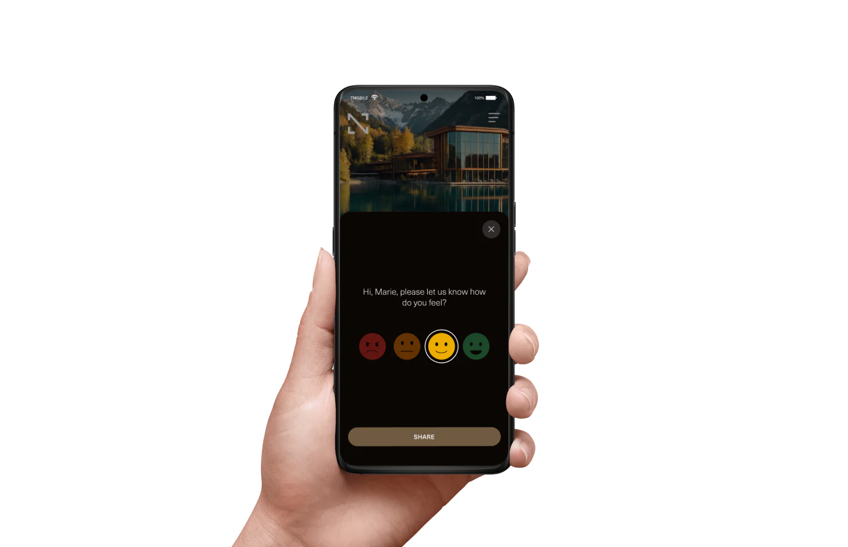Screenshot image
