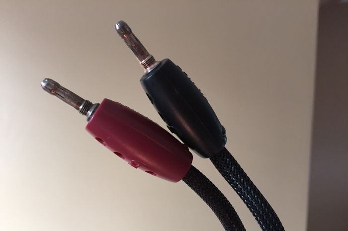 AudioQuest Type 6 10' Speaker Cable Pair