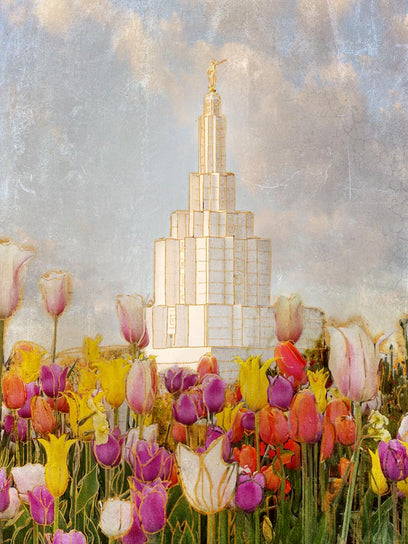 Painting of the Idaho Falls Temple surrounded by tulips.
