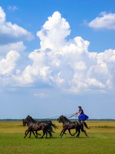 Puszta Horse Show and Countryside - photo 5