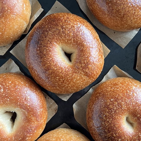 homemade plain bagels fresh out of the oven