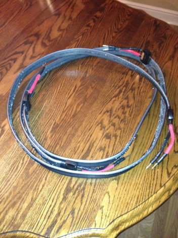 2m Wireworld Silver Eclipse 6 Speaker cables as new Ban...
