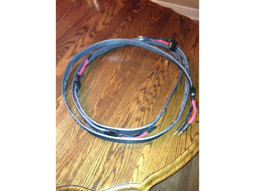 2m Wireworld Silver Eclipse 6 Speaker cables as new Banana connectors both sides!