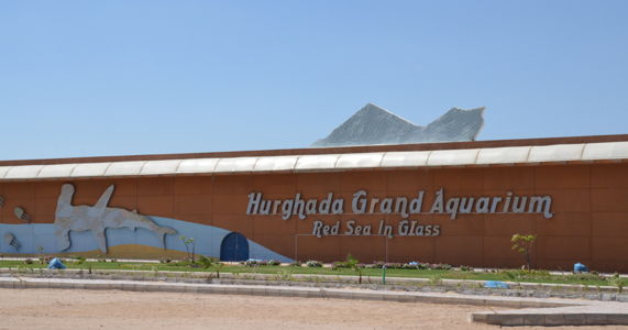 hurghada-grand-aquarium