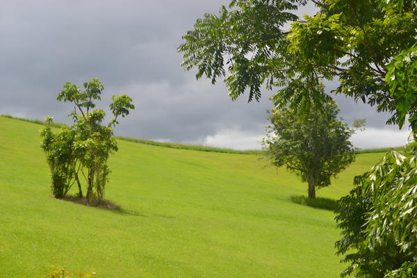 Mungalli Falls - Weddings and Events Voucher - Image 8