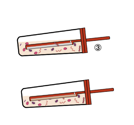 Schema of the red tester filled with bacteria in liquid on the side