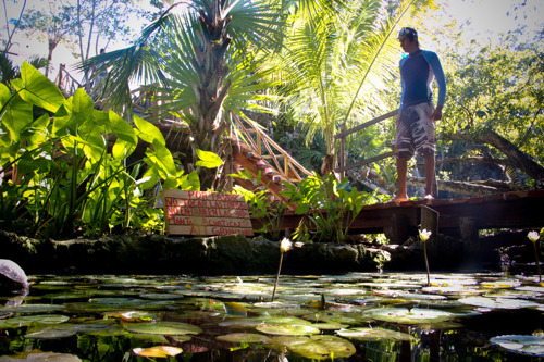 Лучшее на Ривьере Майя: купание с черепахами, сенот, Райский пляж, Тулум.