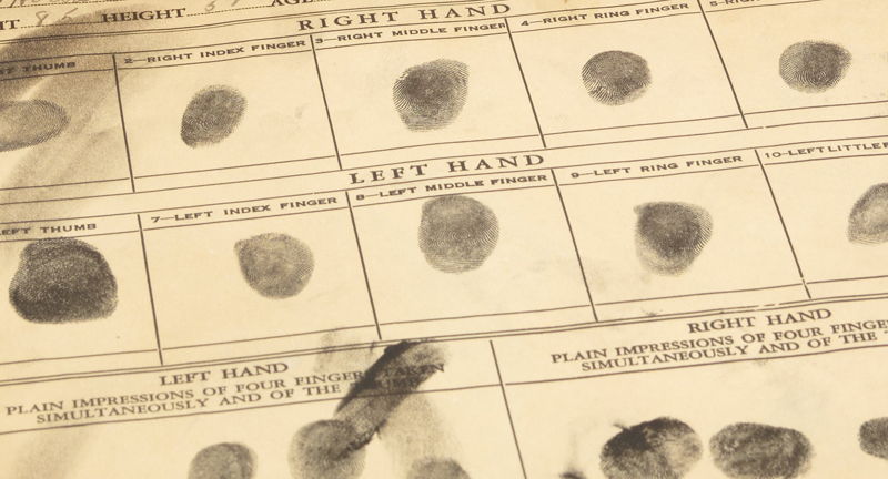 Whodunit? A Forensic Science Mystery
