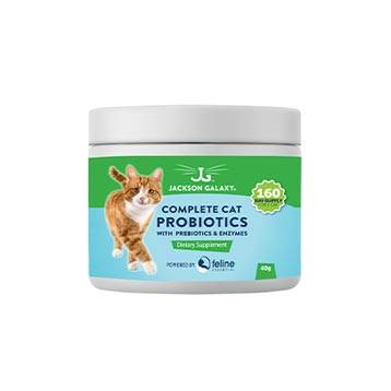 Jackson galaxy space station cat toy shop