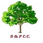 Shapwick & Polden Cricket Club Logo