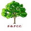 Shapwick & Polden Cricket Club logo