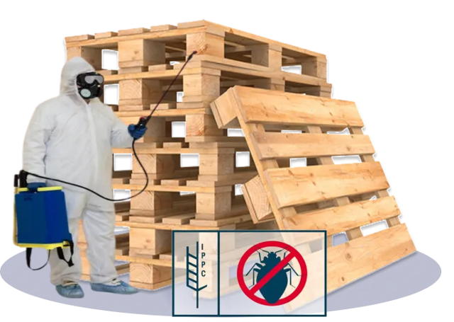 Protección