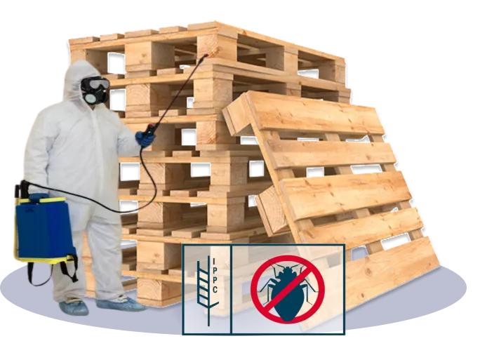 Protección