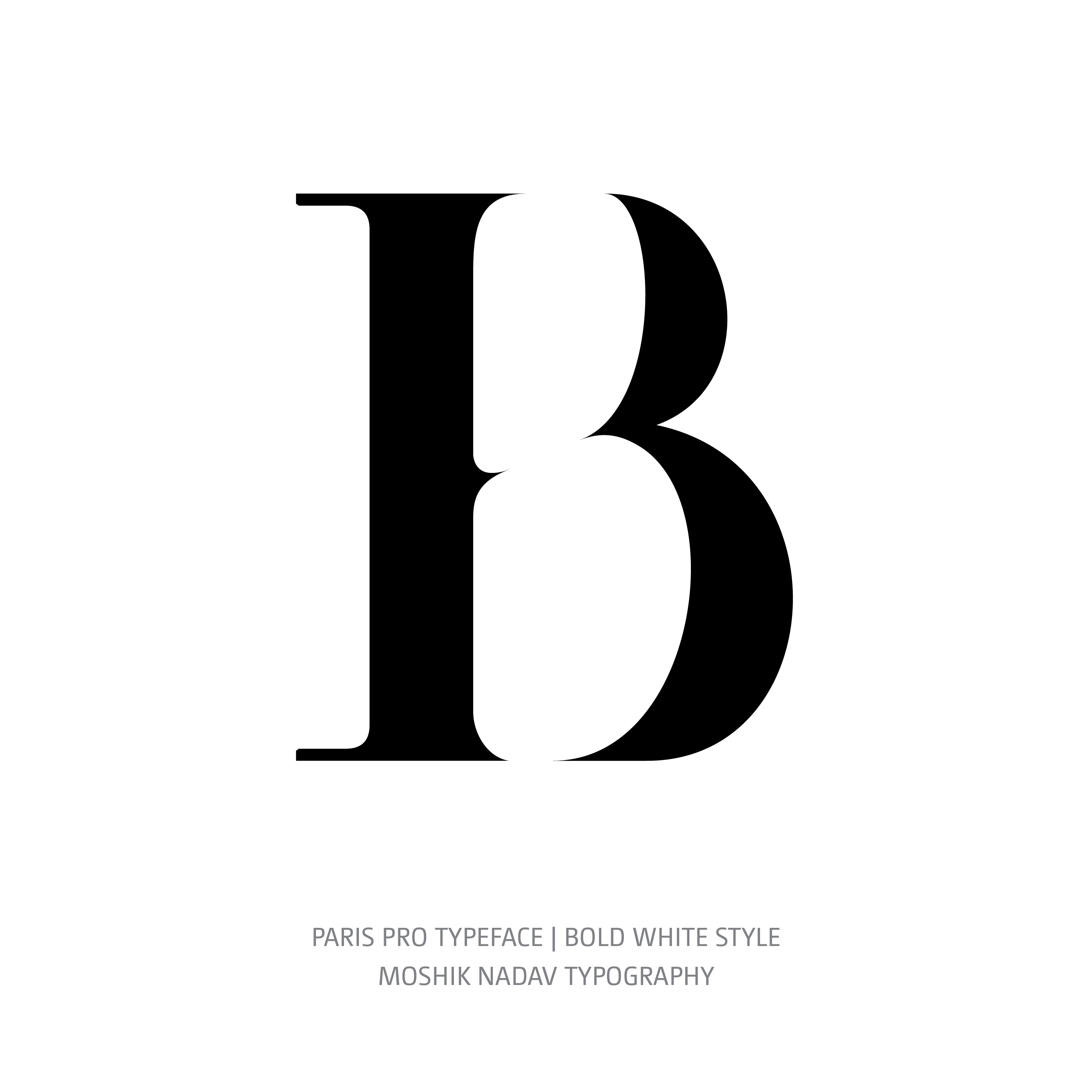 Paris Pro Typeface Bold White B