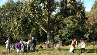 hofgut graue presse kinder auf wiese