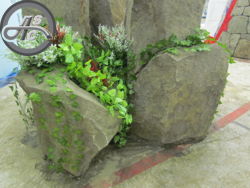 content gallery 2