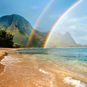 Honeymoon Resort