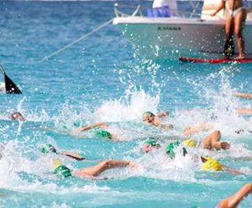 Open water swimmers