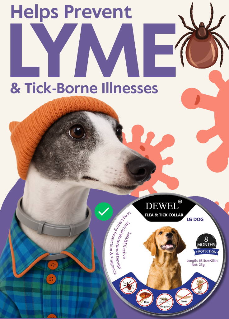 Unboxing Dewel Flea and Tick Collar for dogs