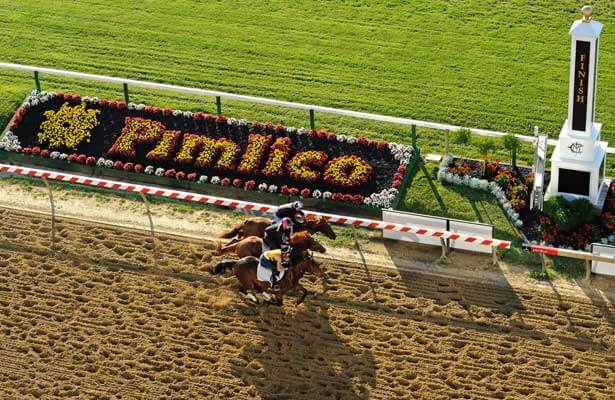pimlico race course online betting