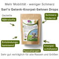 VierBeinerGlück Gassi-Schutz Drops: Das Geheimnis eines zeckenfreien Spaziergang