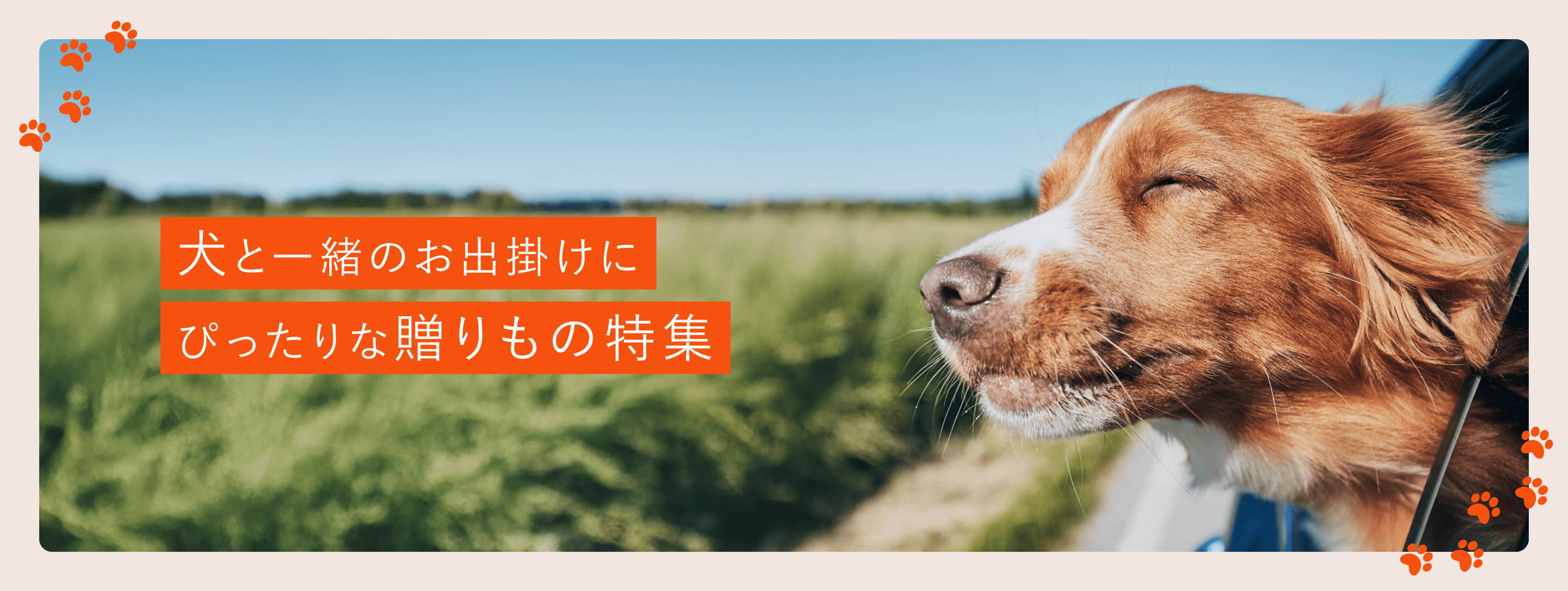 犬と一緒のお出掛けにぴったりな贈りもの特集