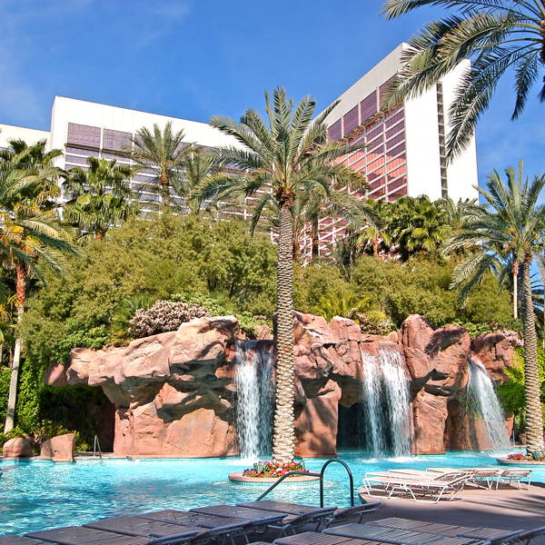 Pools at Flamingo at Flamingo