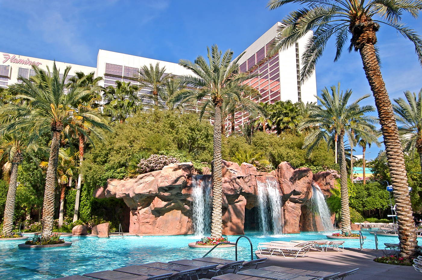 Pools at Flamingo Las Vegas