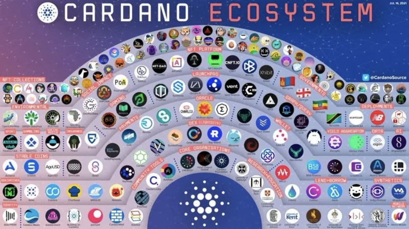 The Cardano Ecosystem