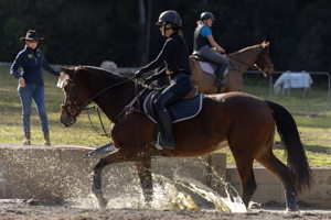 Ridgeview Equestrian Voucher