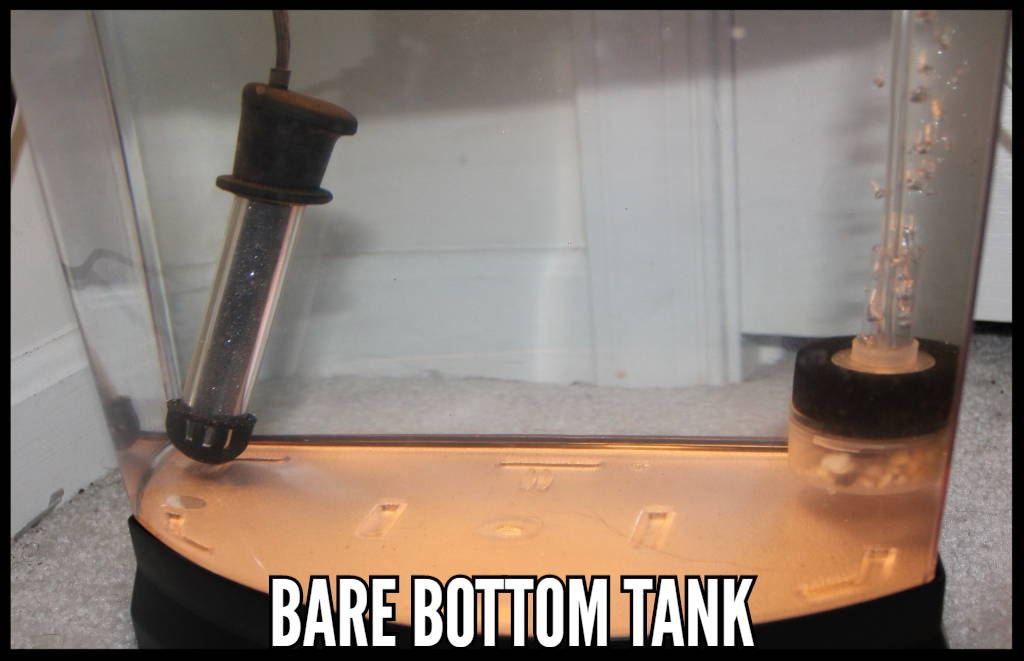 Bare Bottom Tank