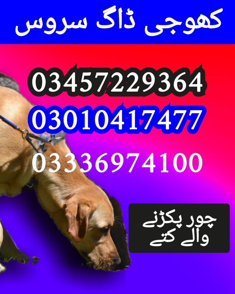 https://ucarecdn.com/660e51a9-e0cf-497a-90f9-de01836c1254/ cover