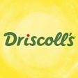 Driscoll's logo on InHerSight