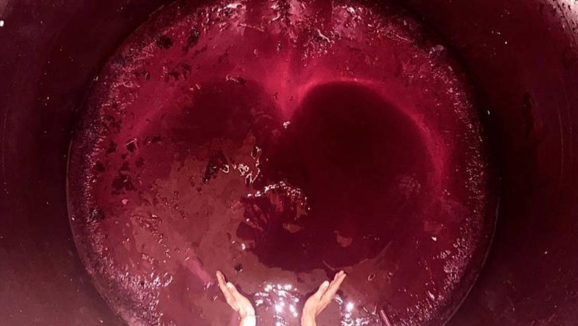 France, vin nature, rawwine, organic wine, vin bio, vin sans intrants, bistro brute, vin rouge, vin blanc, rouge, blanc, nature, vin propre, vigneron, vigneron indépendant, domaine bio, biodynamie, vigneron nature, cave vin naturel, cave vin, caviste, vin biodynamique, bistro brute, Quimper, Finistère , domaine du pere benoit, gard, rhône sud, anne sophie bodson, benoit bodson, gnome, psaume, gavroche, ondine, marie-charlotte, benefactum