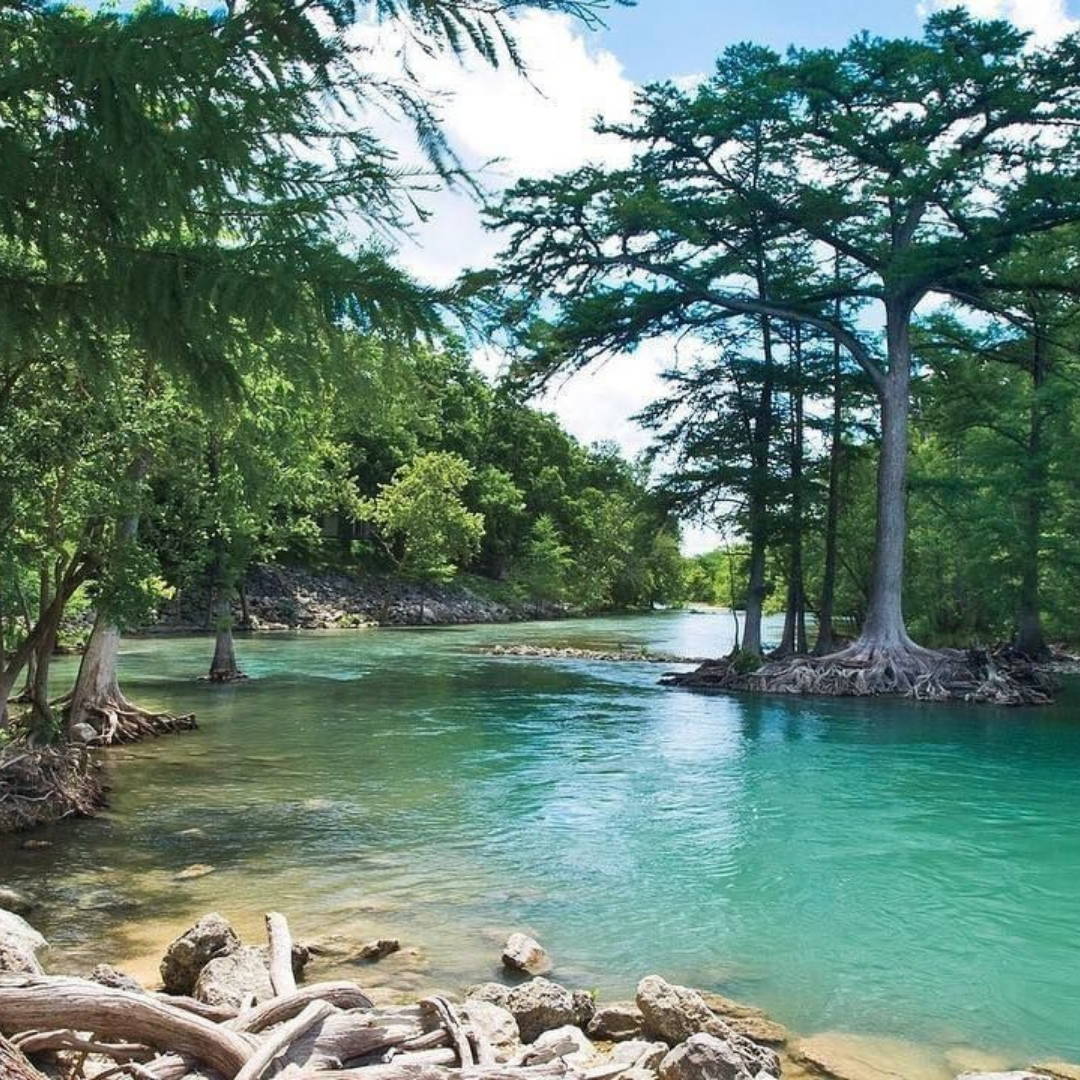Guadalupe River State Park, Oak Tree Camping Site, Riverside Camping, Texas Parks & Wildlife