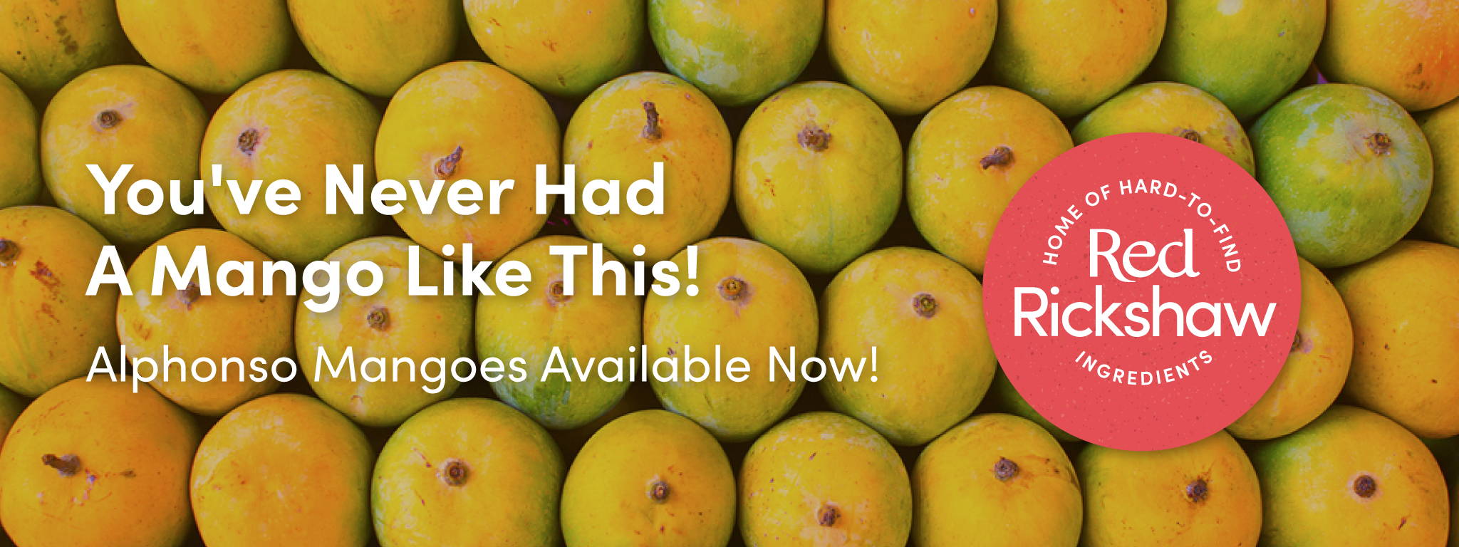 Alphonso mangoes available now. Buy here.
