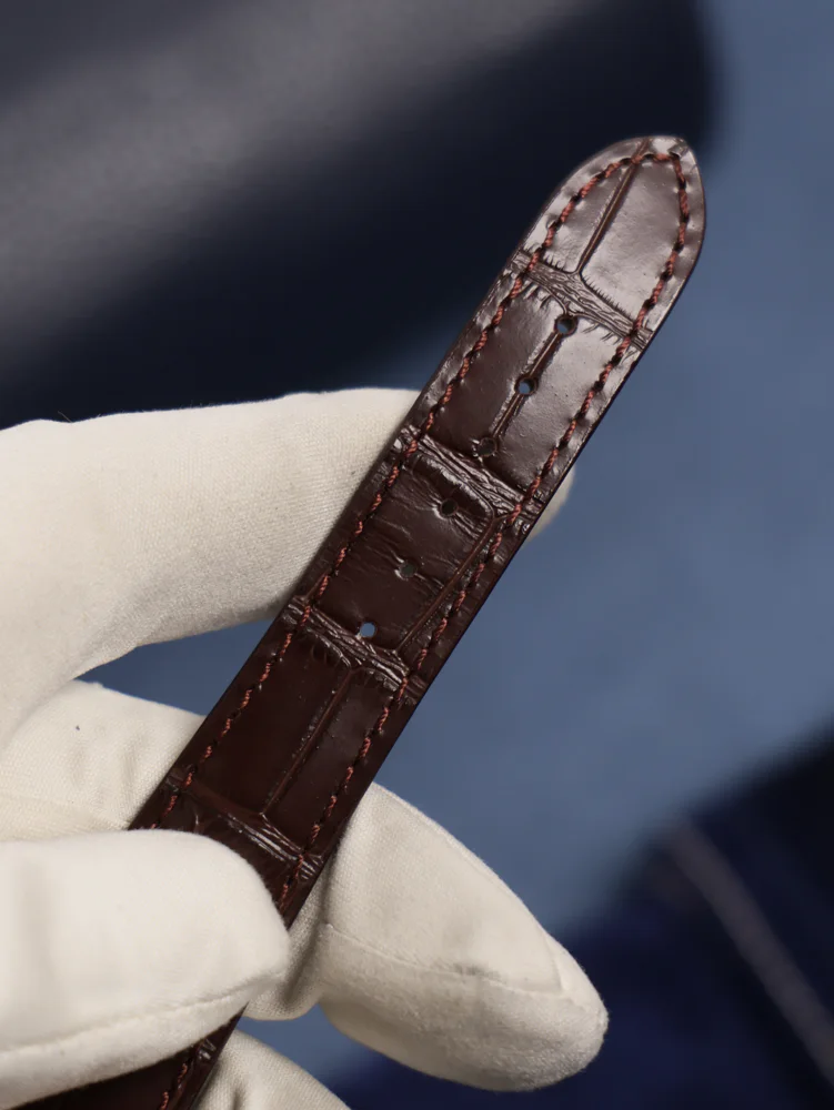 Patek Philippe World Time, image 4
