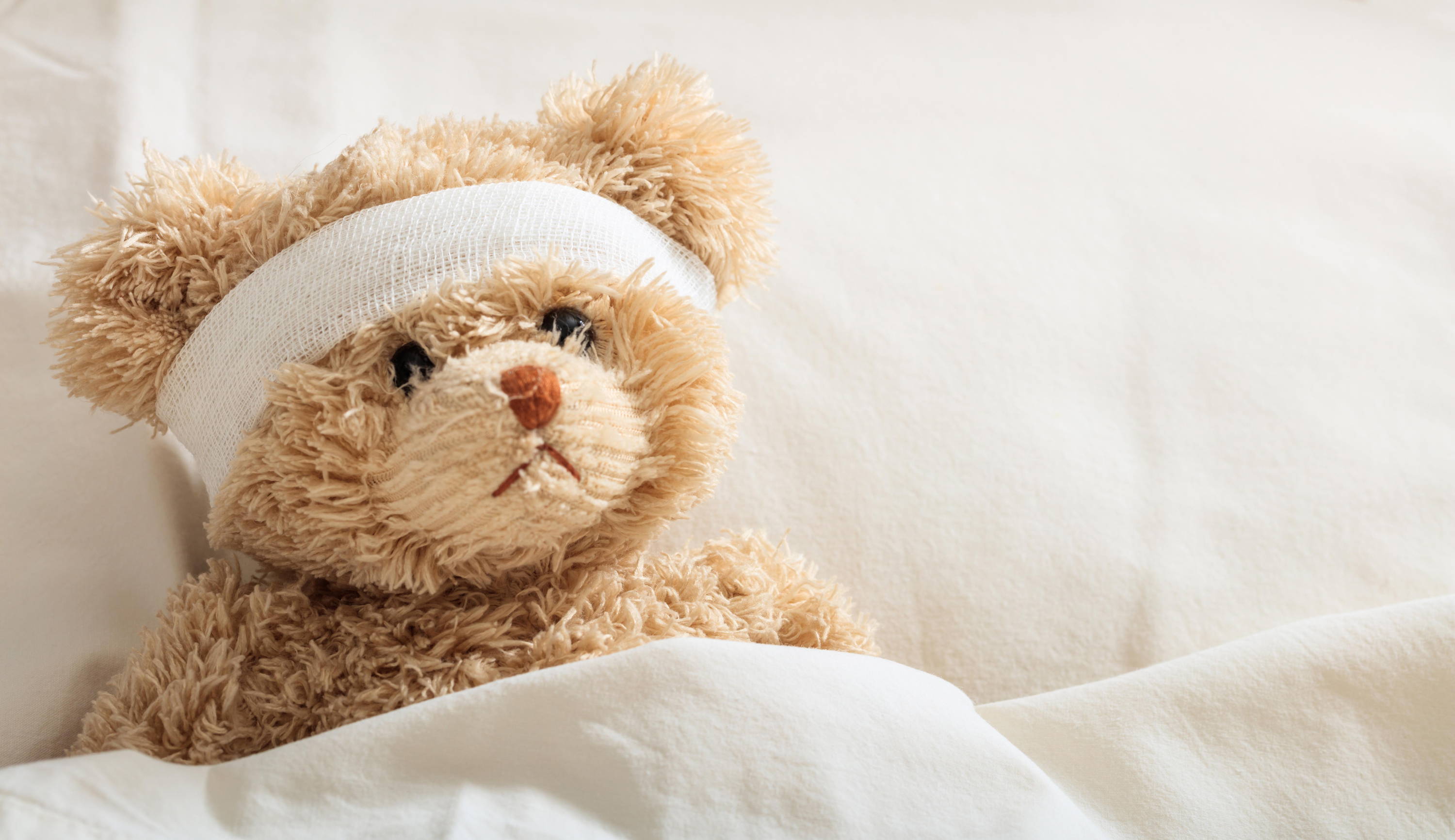 Stuffed Teddy Bear 